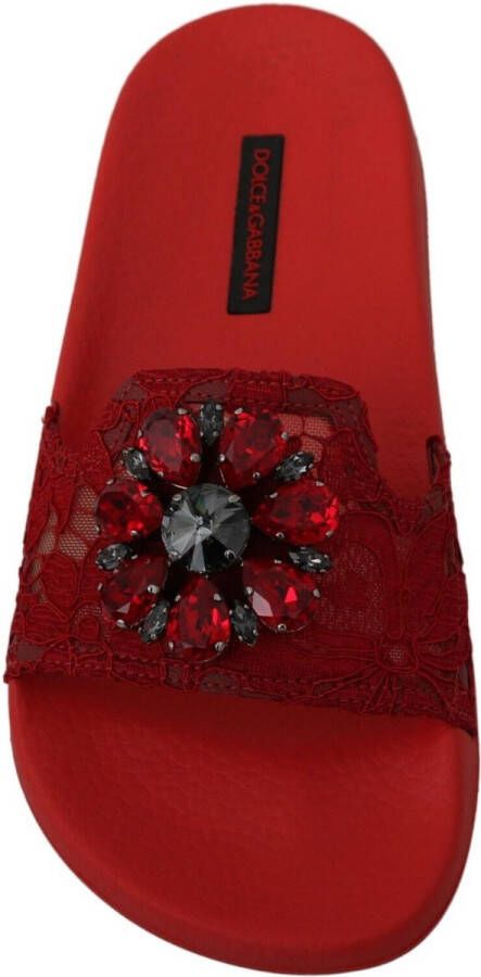 Dolce & Gabbana Prachtige Lace Crystal Sandalen Slippers