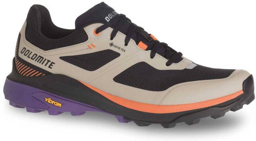 Dolomite Nibelia Goretex Wandelschoenen Grijs 1 2 Man