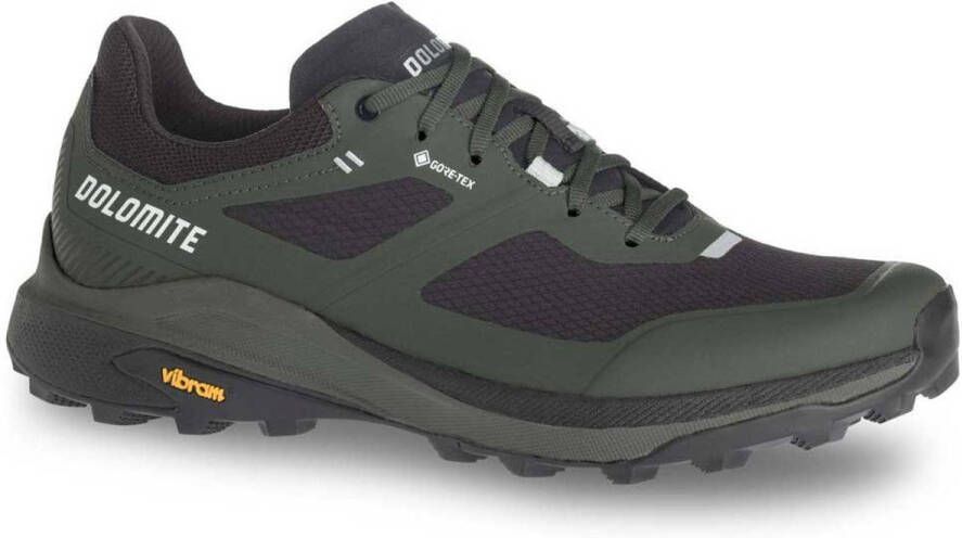 Dolomite Nibelia Goretex Wandelschoenen Groen Man