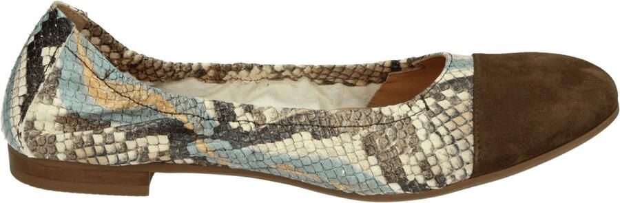 Donna Carolina 57170402 Ballerinaschoenen Bruin