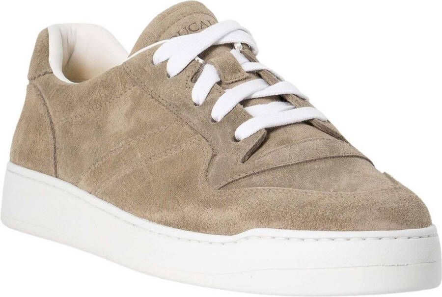 Doucals Schoenen Taupe sneakers taupe