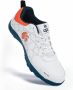 DSC Belter Dom Cricket Schoenen Teal Blauw Voor Jongens en Mannen EVA Sokvoering Lichtgewicht Buitenzool Duurzaam 10 EU Super Lichtgewicht & Comfortabele Cricket Schoenen Superieure Grip - Thumbnail 1