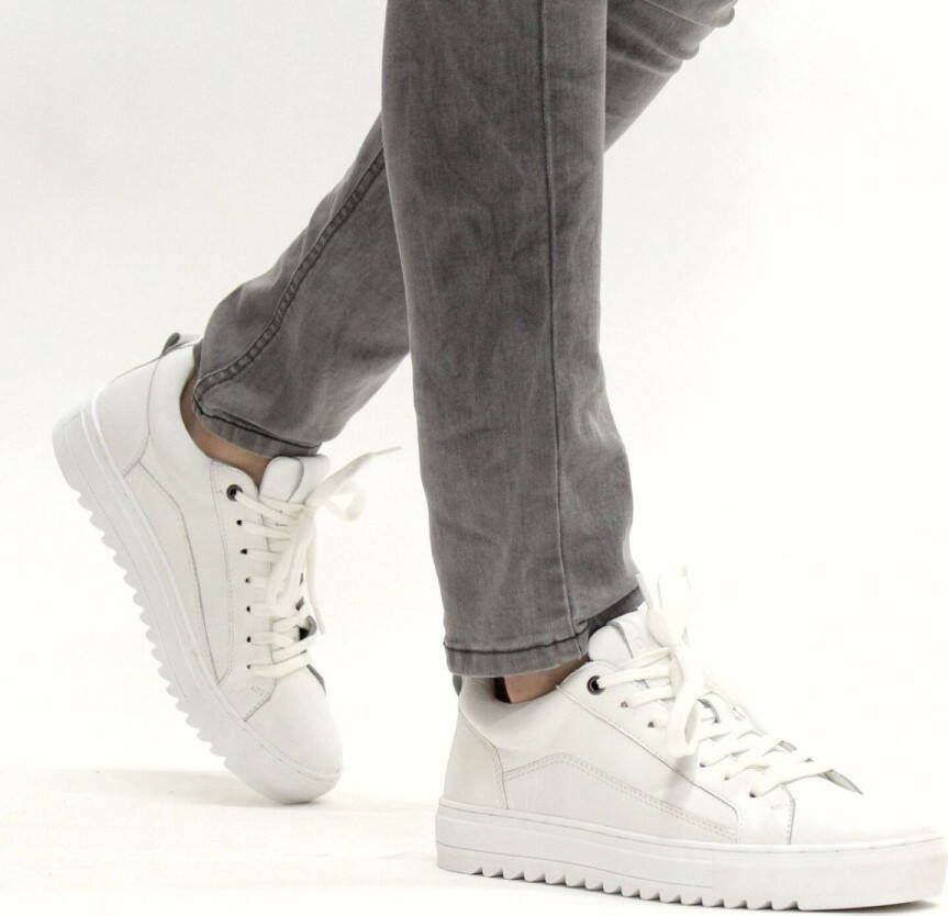 DSTRCT veterschoen Sneakers Heren Wit