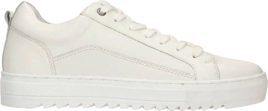DSTRCT veterschoen Sneakers Heren Wit