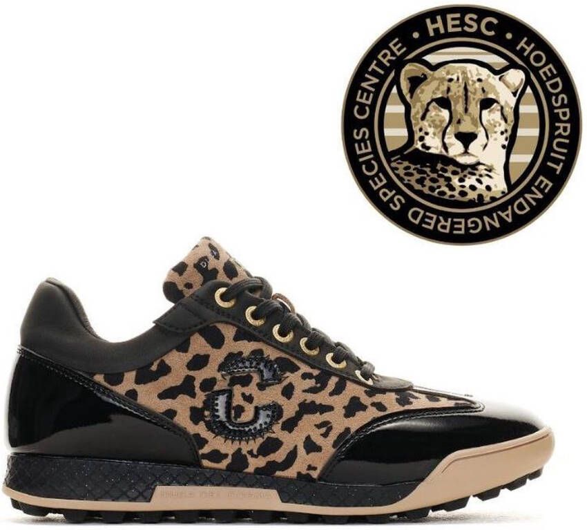 Duca del Cosma King Cheetah