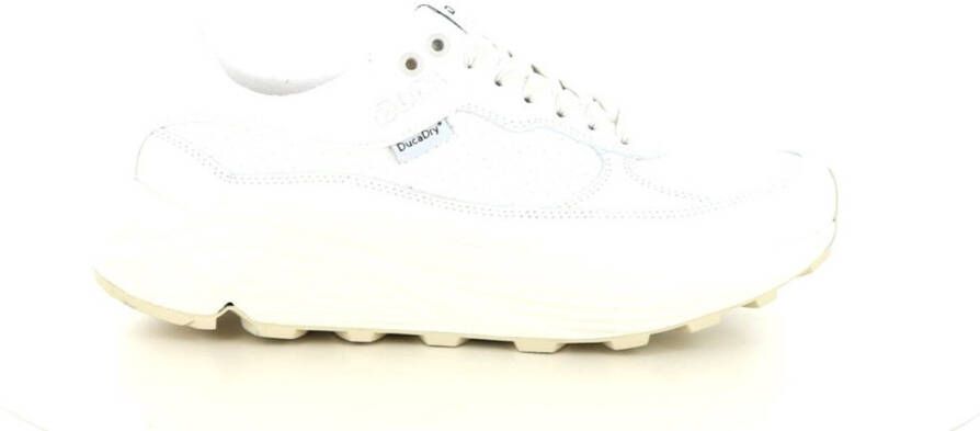 Duca Lecce Lux wijdte H