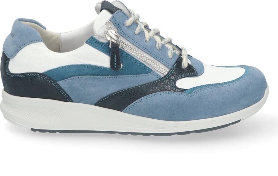 Durea blauwmulti