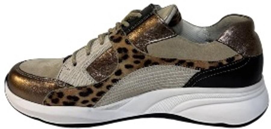 Durea 6318 2076 champagne multi bruin