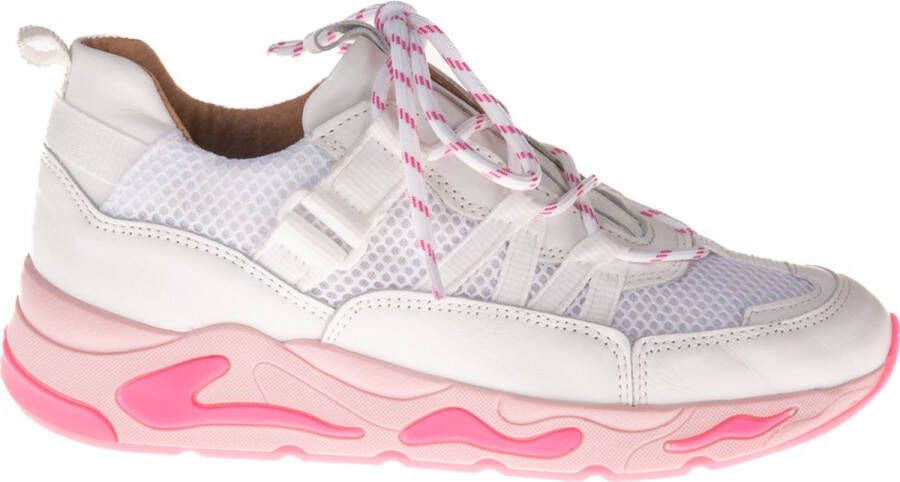 Dwars Dwrs Label California sneaker