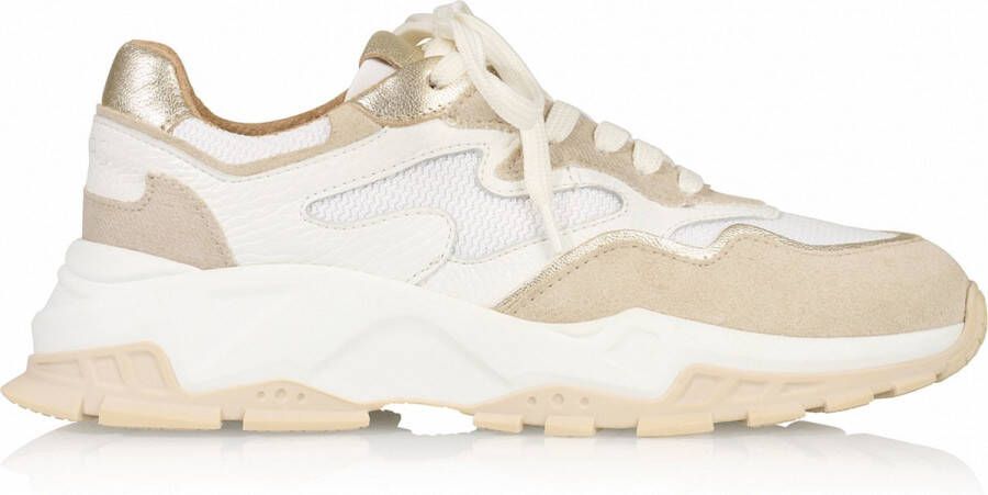 Dwrs Dames Sneakers Chester Sand champagne Zand