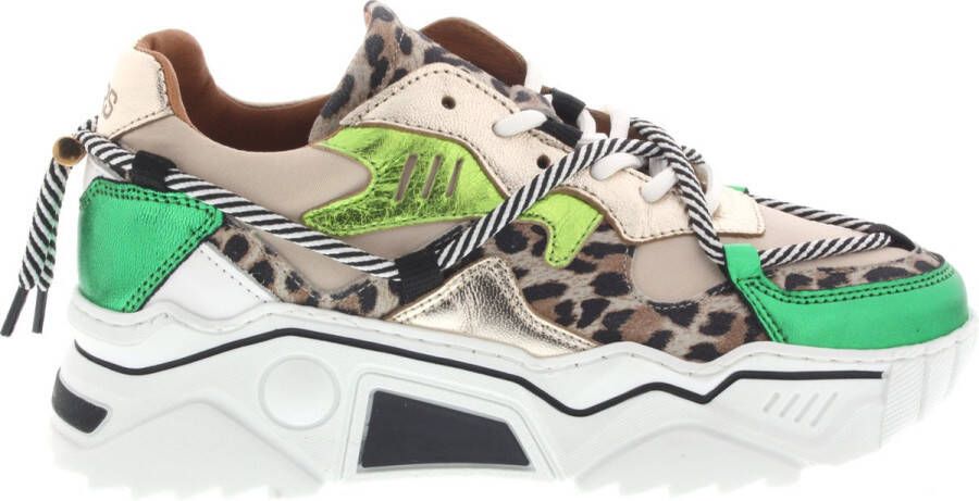 Dwrs JUPITER leopard Sand Green Dames Sneaker J5554