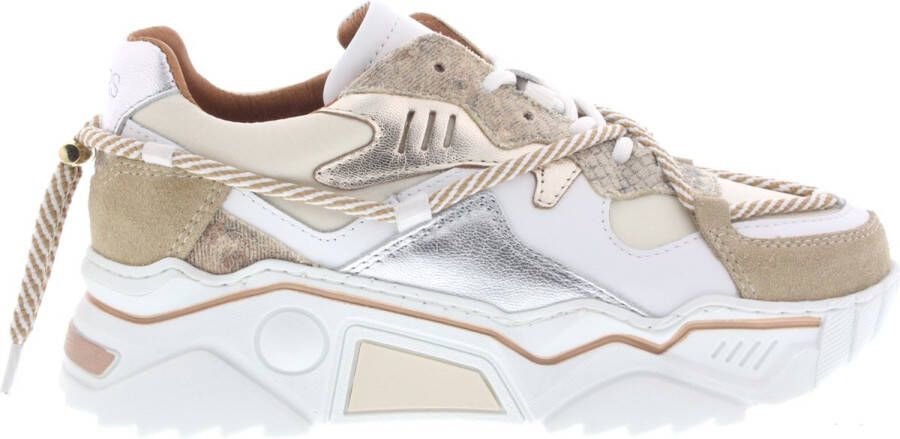 Dwrs Dames Sneakers Jupiter Snake Sand champagne Zand