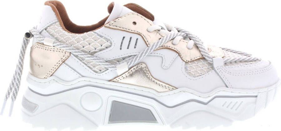 Dwrs Dames Sneakers Jupiter Stones White champagne Wit