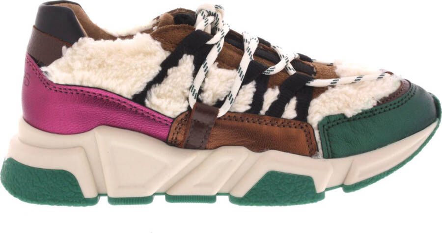Dwrs Dames Sneakers Los Angeles Teddy Offwh.darkg Multi