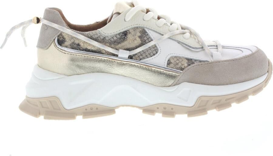 Dwrs Dames Sneakers Bonney Snake Sand champagne Wit - Foto 2