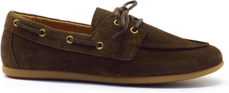 DWRS label Latty 11927-02 dark brown Bruin