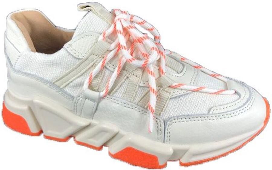 Dwrs SNEAKER LOS ANGELOS