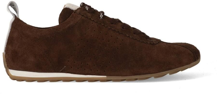 Dwrs Sneakers Sisak Donker Bruin Off White