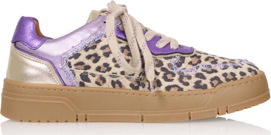 Dwrs Huntly Leopard