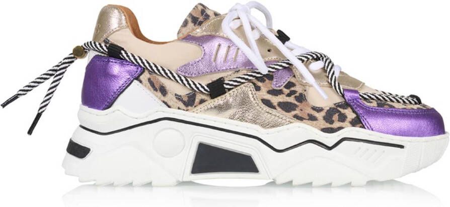 Dwrs Jupiter Leopard