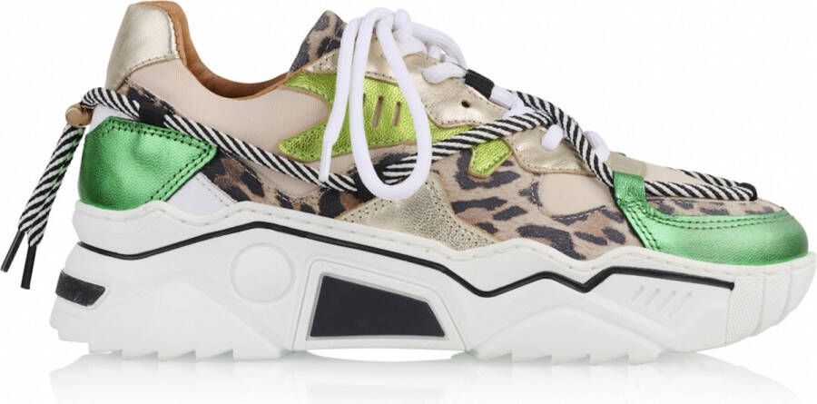 Dwrs JUPITER leopard Sand Green Dames Sneaker J5554