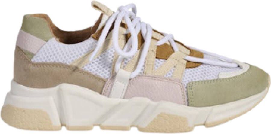 DWRS LABEL Dames Los Angeles Sneakers Multicolor