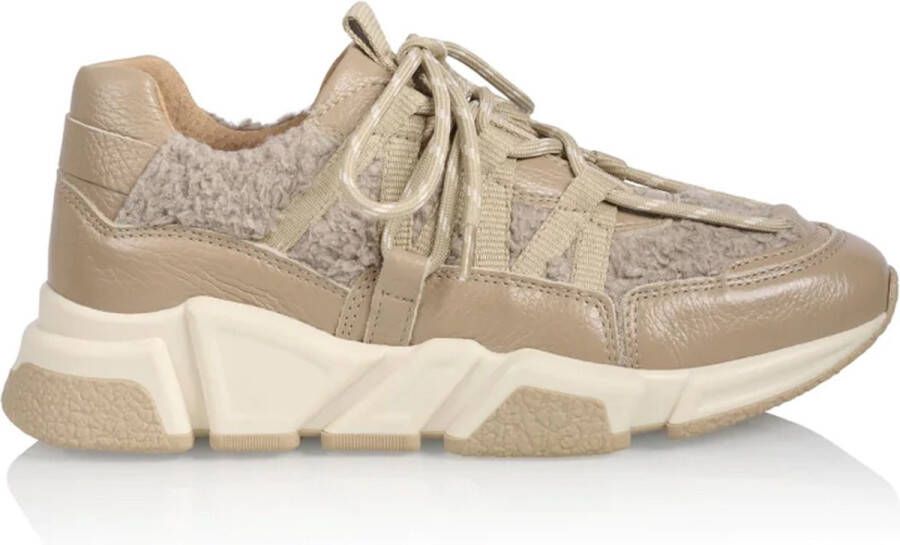 DWRS LABEL DWRS Dames Sneaker LOS ANGELES terry taupe - Foto 1