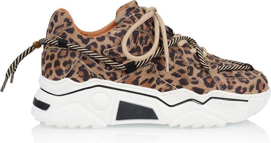 DWRS LABEL DWRS Jupiter leopard sneakers Beige Leer Lage sneakers Dames - Foto 4