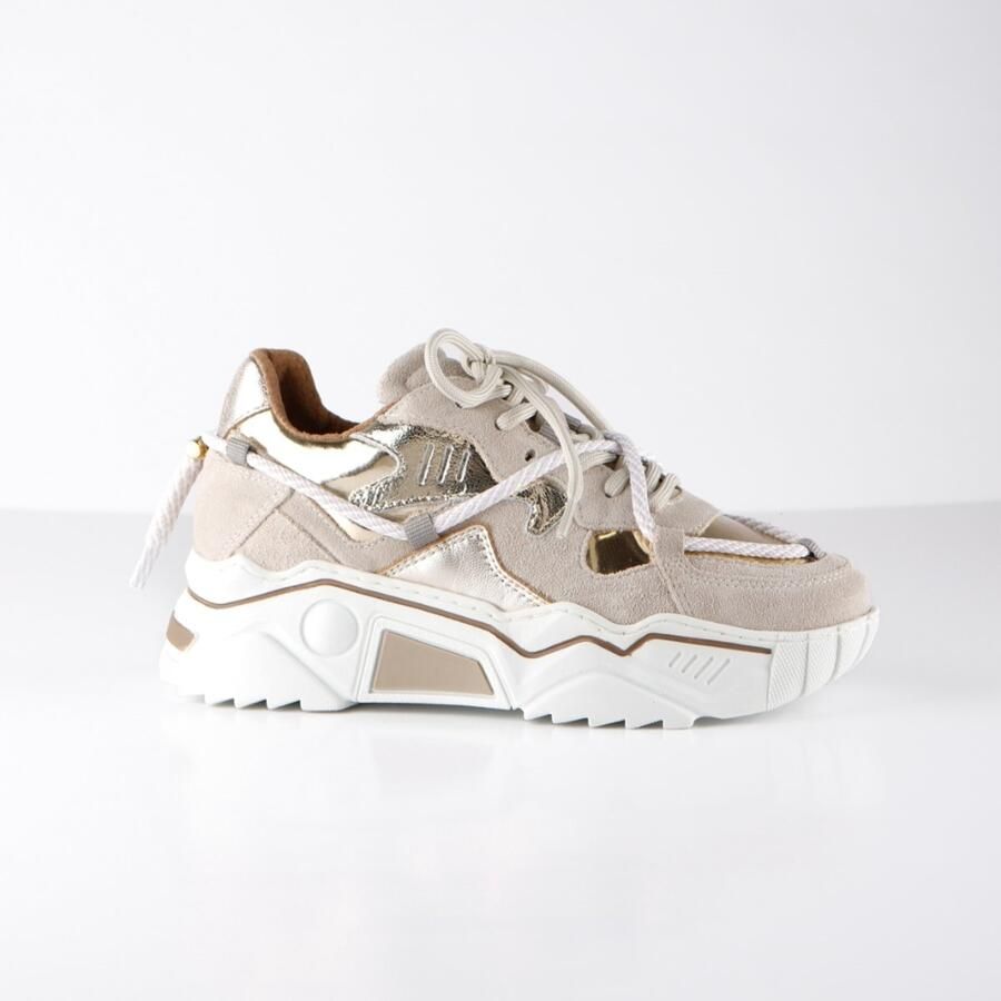 DWRS LABEL JUPITER Champagne Sand