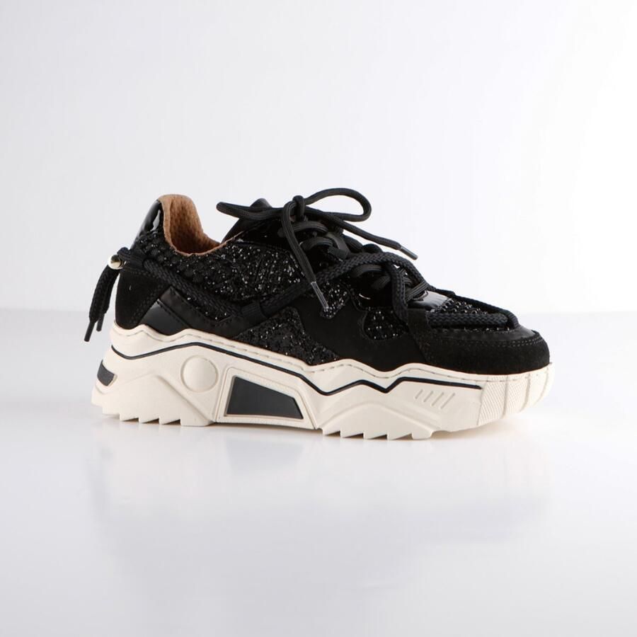 Dwrs label JUPITER glitter Black