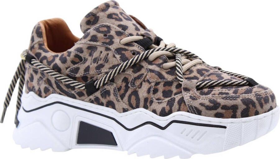 DWRS LABEL DWRS Jupiter leopard sneakers Beige Leer Lage sneakers Dames - Foto 2