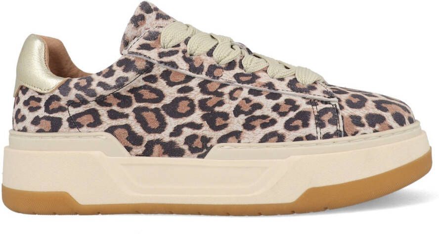 Dwrs LOT Leopard B11472-02-7208 Champagne Rosé Goud