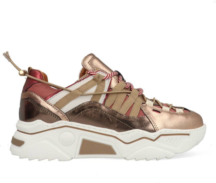 Dwrs Orion J6870-09-7058 Bronze Bordeaux Rood