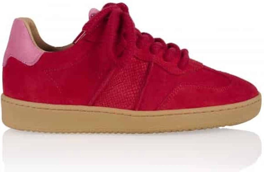 Dwrs Poona Red Rood