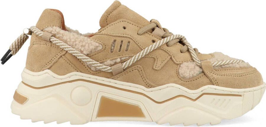 Dwrs sneaker Jupiter Teddy lion