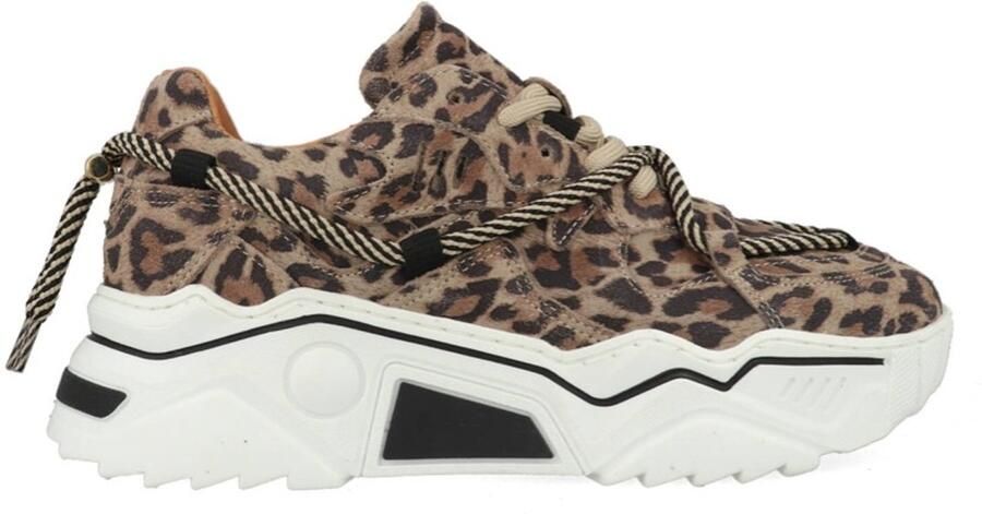 DWRS LABEL DWRS Jupiter leopard sneakers Beige Leer Lage sneakers Dames - Foto 3