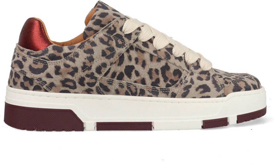 DWRS label Whitby Leopard 4568 bordeaux gr multi bruin