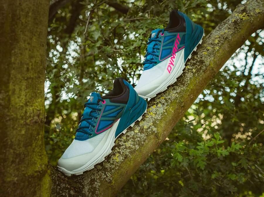 Dynafit Alpine Trail Running Schoenen Wit Blauw 1 2 Vrouw - Foto 3
