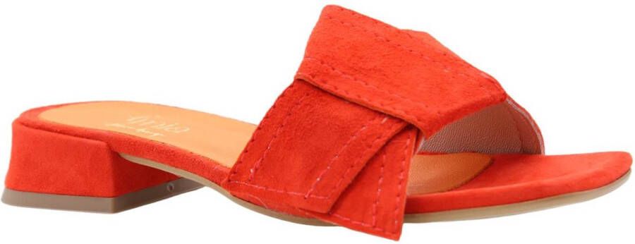 E mia Stijlvolle Ballerina's voor modebewuste vrouwen Pink Dames - Foto 12