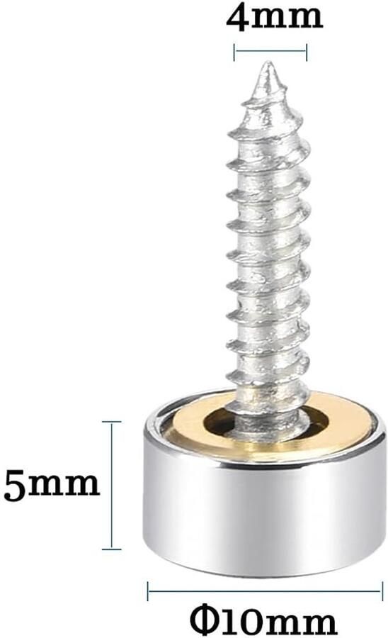 10 mm spiegelschroeven 4 stuks gepolijst roestvrij staal