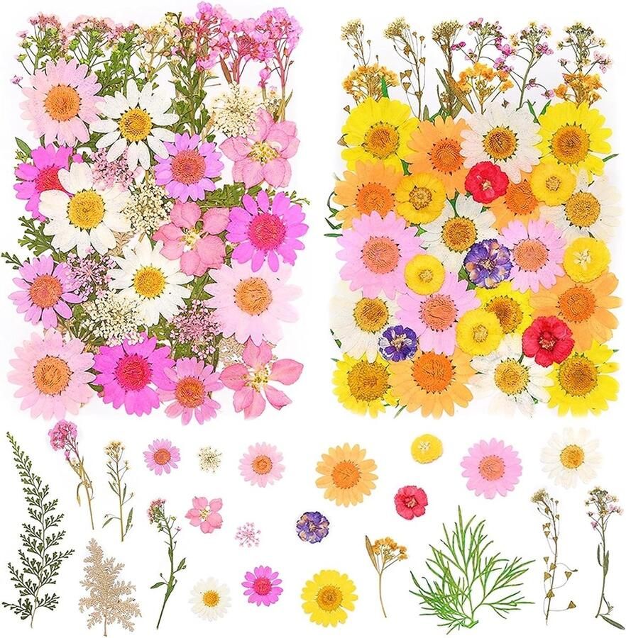 12 Pcs Vervangende Football Boot Tips Nylon Football Screw Studs 13mm 16mm Vervangende Studs voor Sportschoenen Football Schoen Studs voor Buiten Sport Training