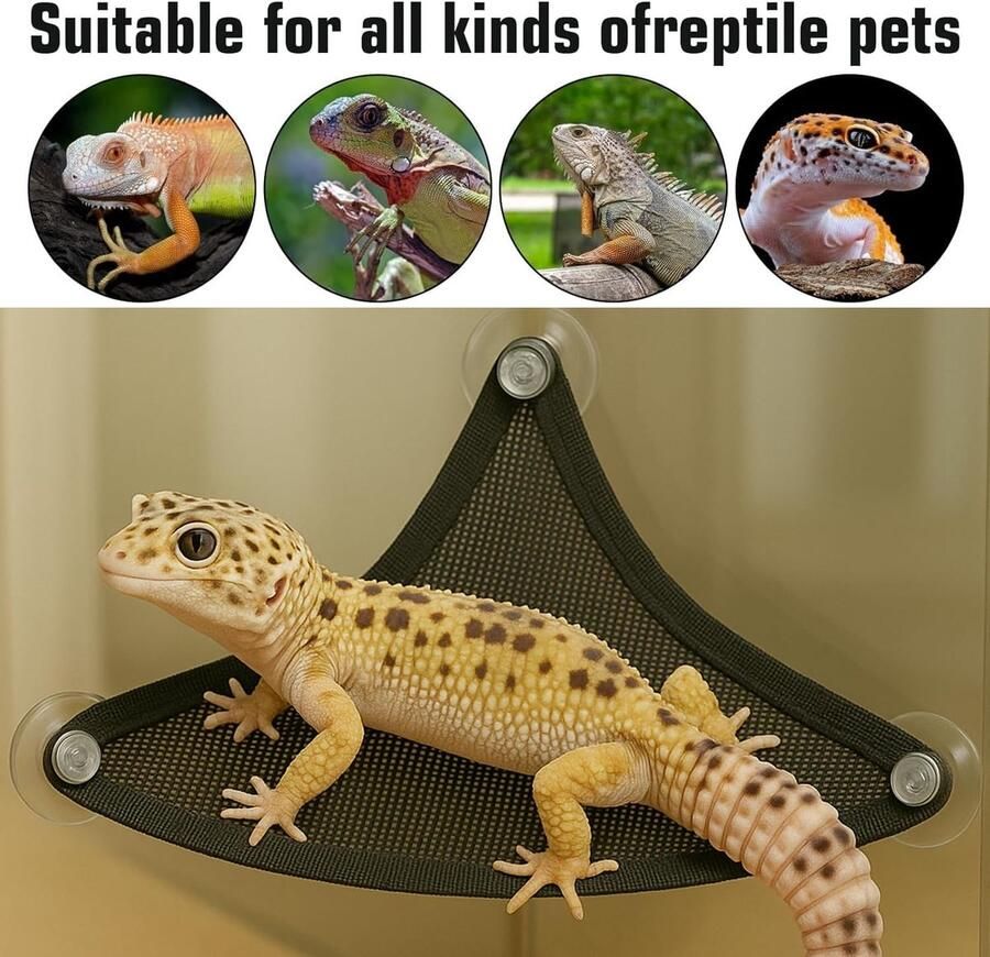 2-pack baard draak hangmat reptiel hangmat geschikt voor leguanen kameleons gekko 's hagedissen slangen kameleons reptielen axolotl tank