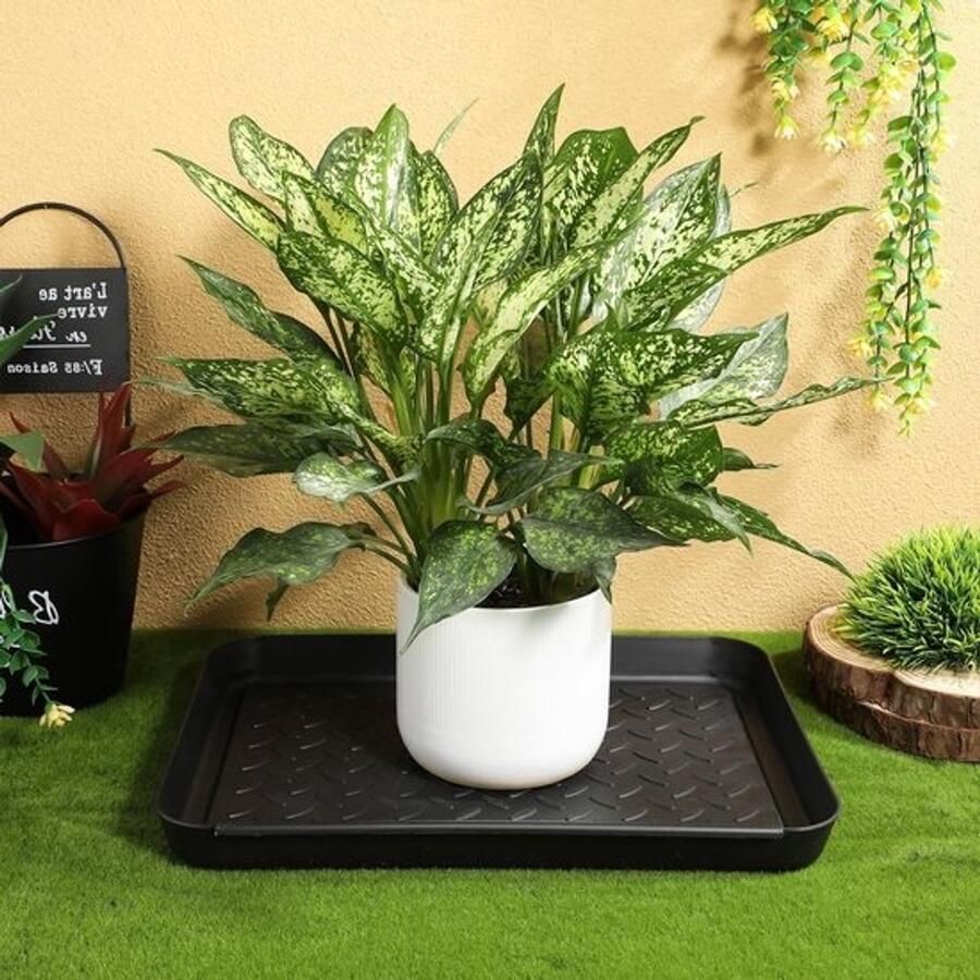 2 stuks zwarte plastic kofferbakjes met antislip loopvlak multifunctionele schoenmatten voor binnengebruik