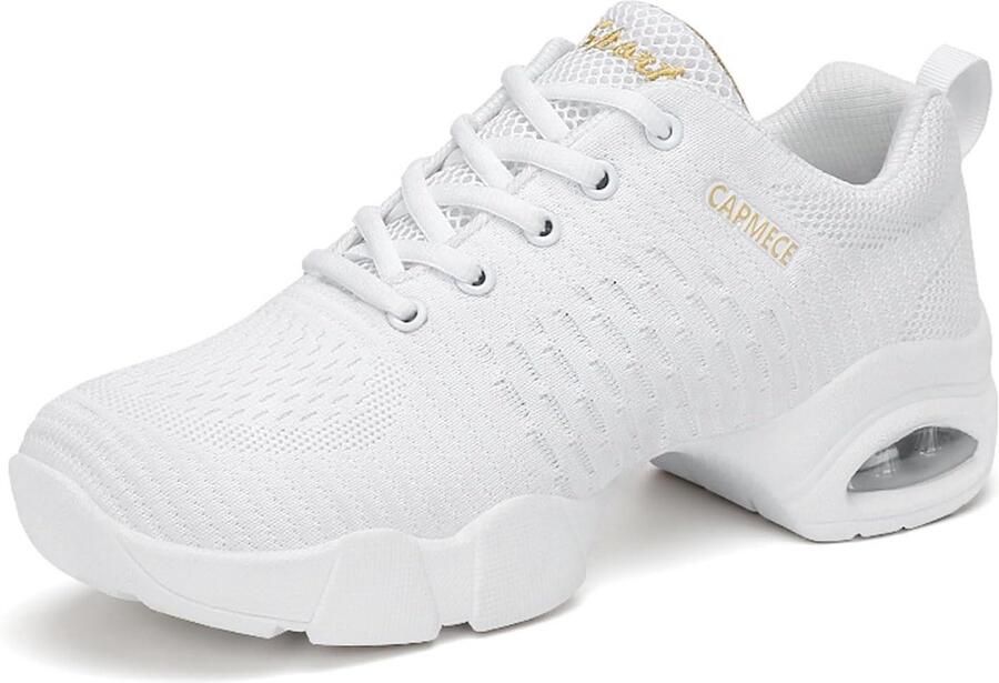 Ademende Mesh Damsneakers voor Dansen en Wandelen met Splitzool en Vetersluiting