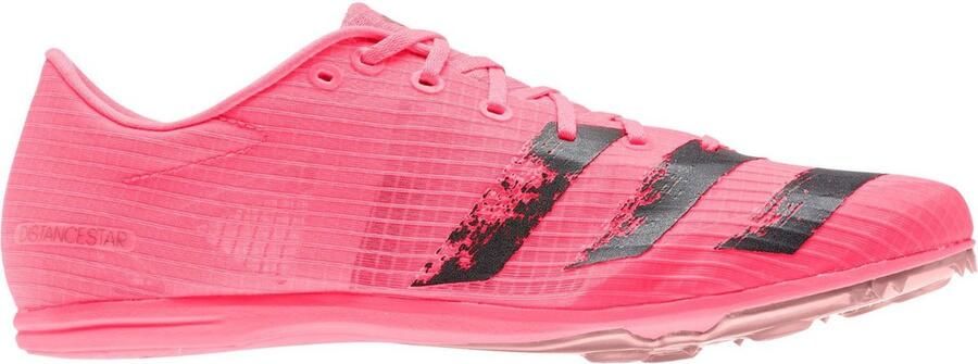 Adidas Performance Distancestar Atletiek schoenen Mannen Roos
