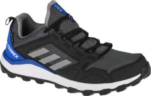 Adidas Terrex Agravic Tr GTX FW5132 Mannen Grijs Trekkingschoenen