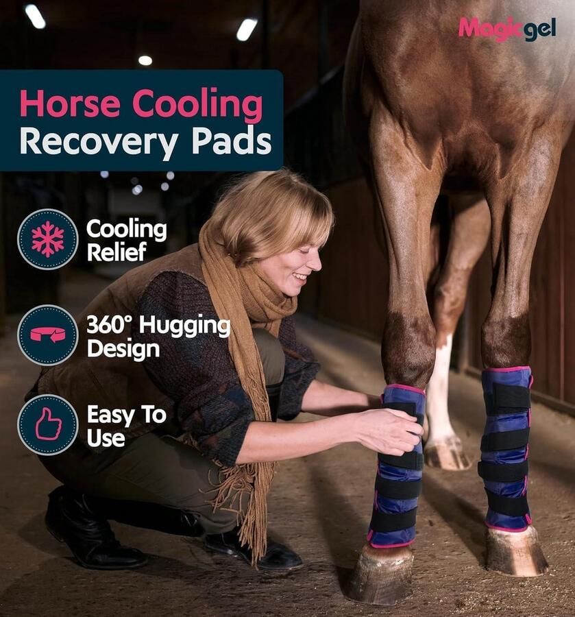 Allecto Horse Ice Pack Koelbeenwraps voor sprong enkel knie benen laarzen en hoeven Single Ice Boot geschikt voor alle paardenrassen zwart