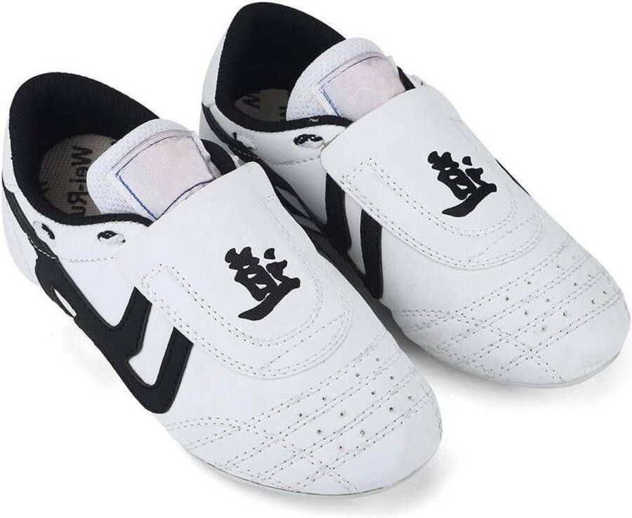 Allecto plus Ademende Taekwondo Schoenen voor Martial Arts in Pu&Rubber Lichtgewicht voor Taekwondo boksen Kung Fu en TaiChi