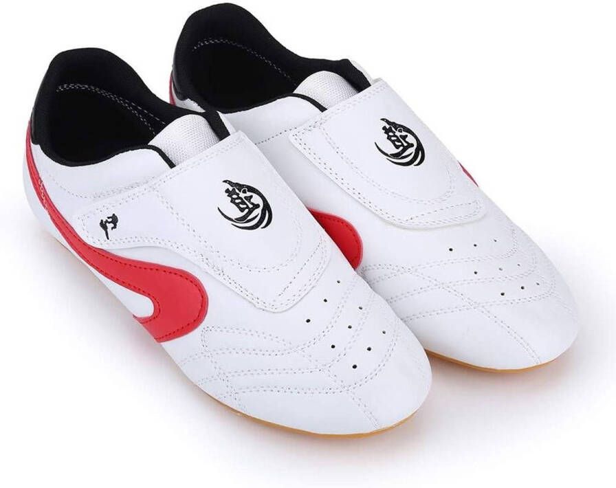 Allecto Plus Sportschoenen voor Taekwondo en Kung Fu Met Dikke Antislipzolen Taschi Warm voor Kinderen en Volwassenen