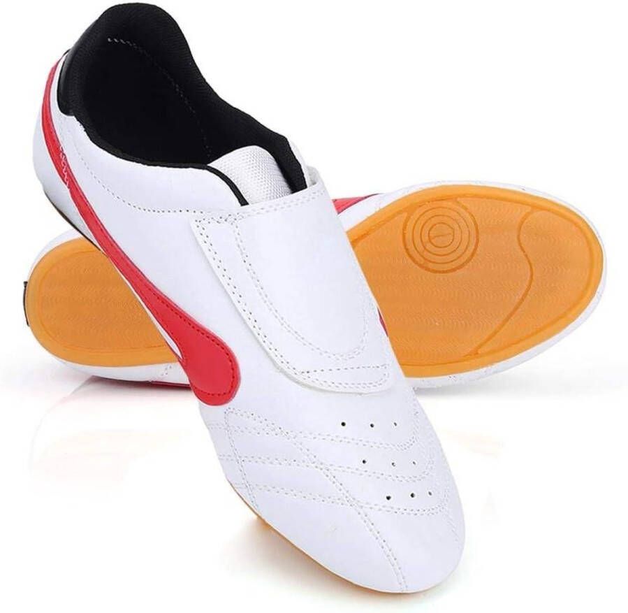 Allecto Plus Sportschoenen voor Taekwondo Kung Fu Tai Chi en Boksen Unisex Kinderen en Volwassenen Comfortabel en Stijlvoluurû